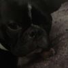 ziggy97992